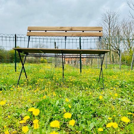 Villa Bubu, Appartamento Country-Chic Roma Eksteriør bilde