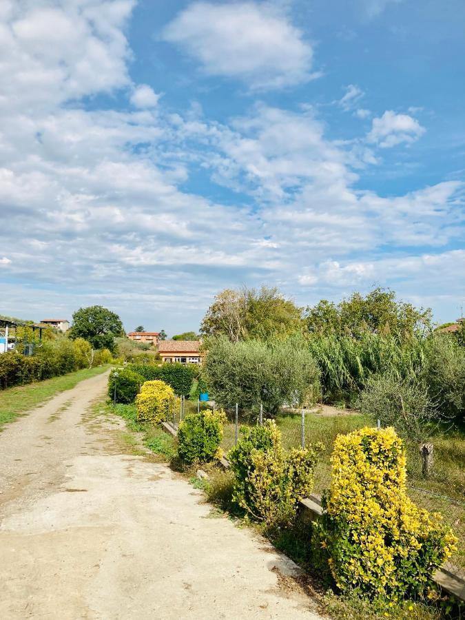 Villa Bubu, Appartamento Country-Chic Roma Eksteriør bilde