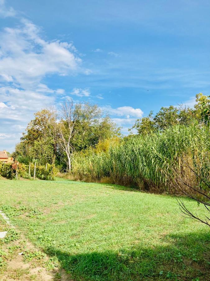 Villa Bubu, Appartamento Country-Chic Roma Eksteriør bilde