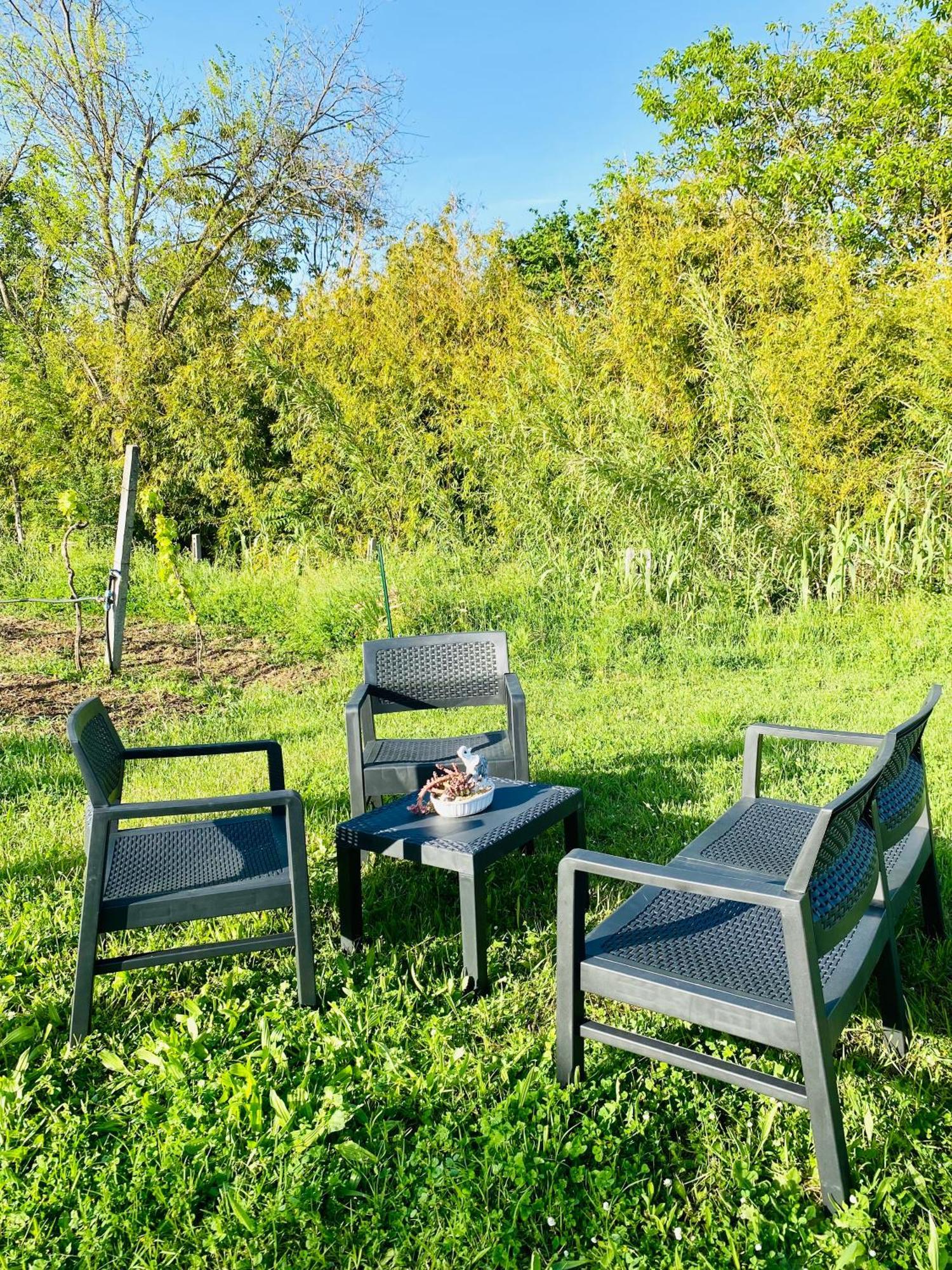 Villa Bubu, Appartamento Country-Chic Roma Eksteriør bilde