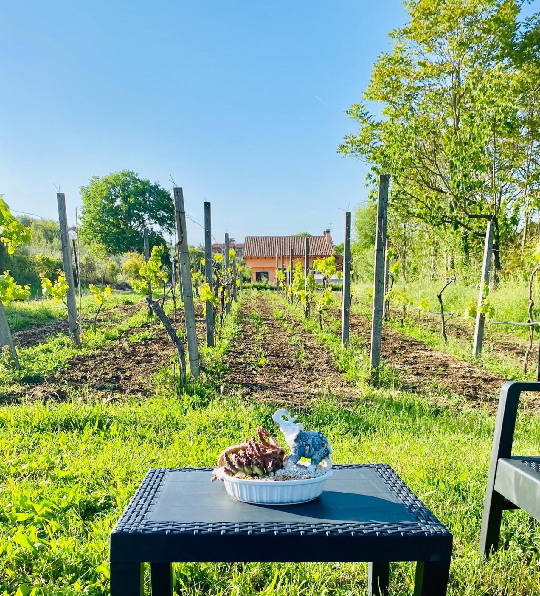 Villa Bubu, Appartamento Country-Chic Roma Eksteriør bilde