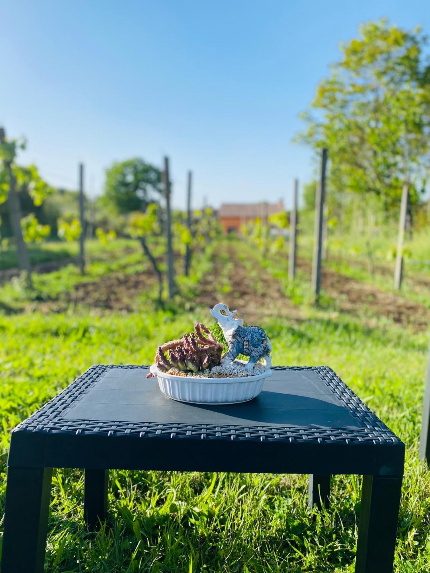 Villa Bubu, Appartamento Country-Chic Roma Eksteriør bilde